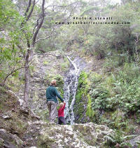 Waterfall on Warren's Track Port FitzRoy